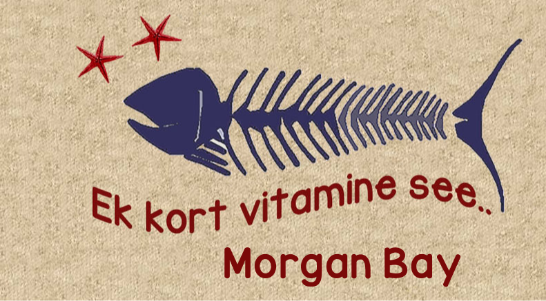 Morgan Bay Keyring 5