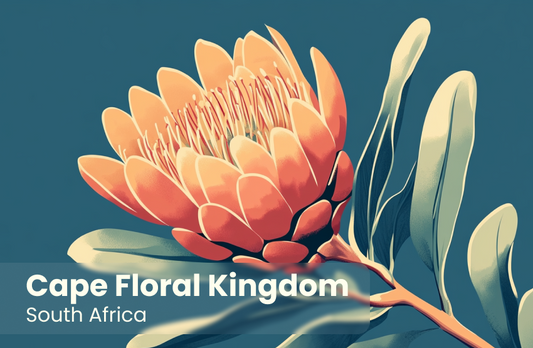 Cape Floral Kingdom Magnet 8