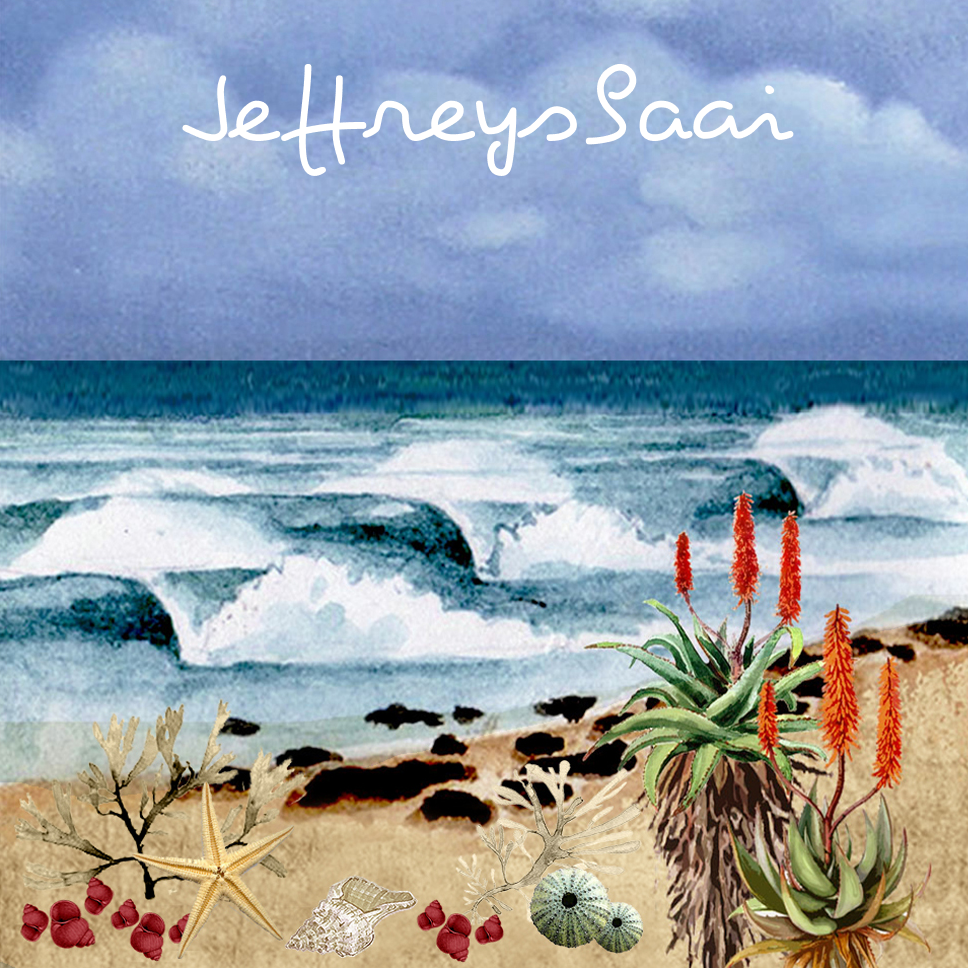 Jeffreysbaai Coaster 2