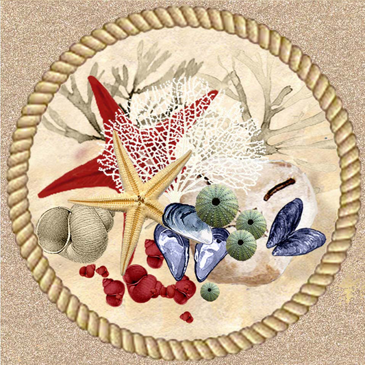 Jeffreysbaai Coaster 3