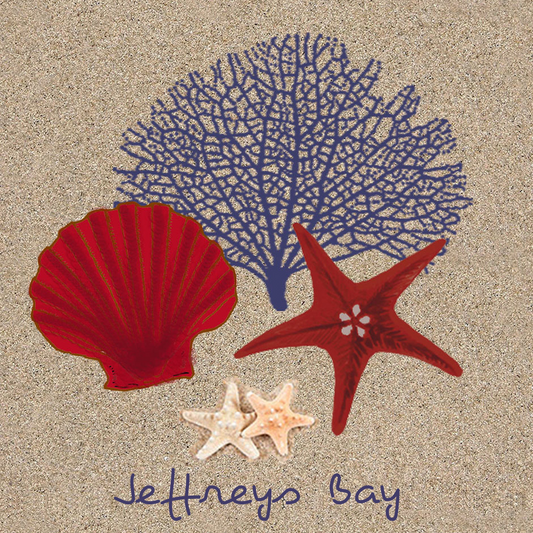 Jeffreys Bay Coaster 4