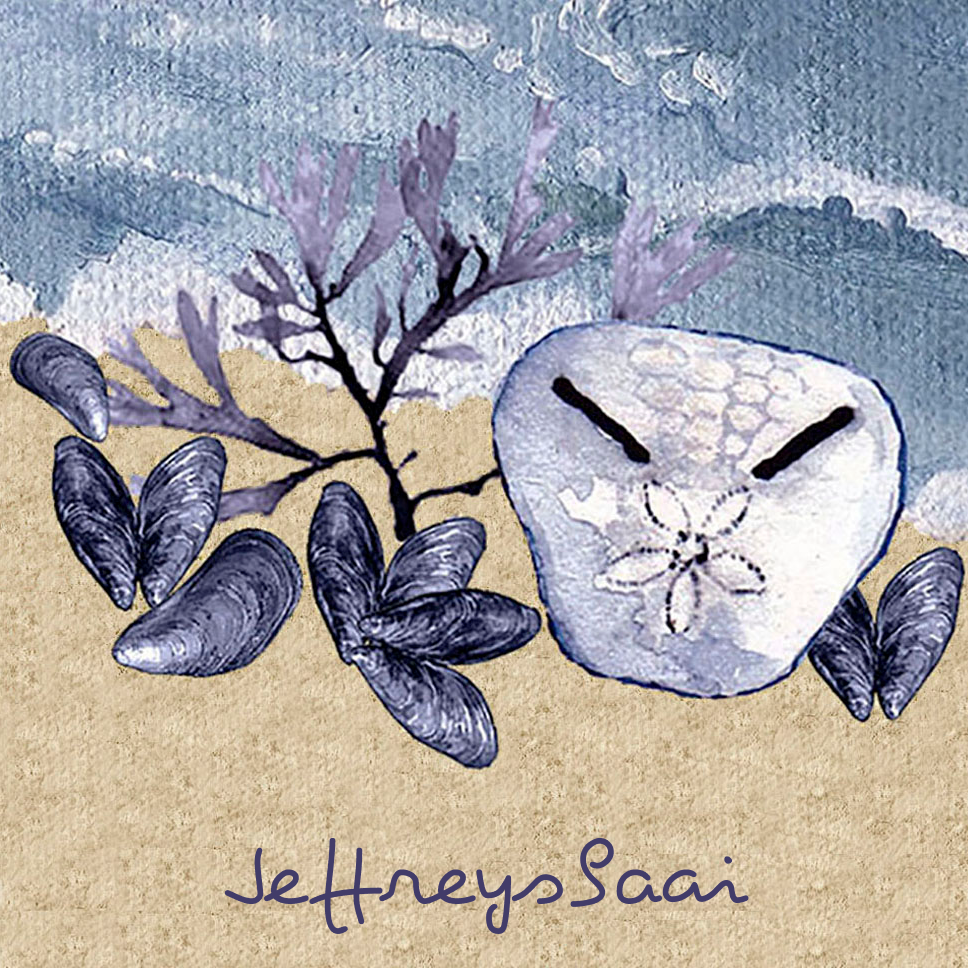 Jeffreysbaai Coaster 6