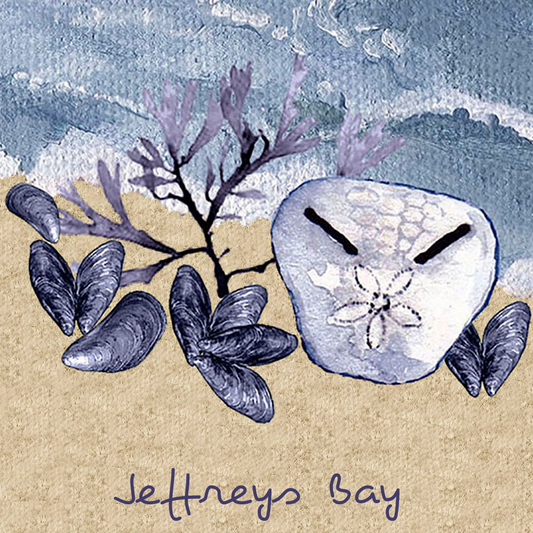 Jeffreys Bay Coaster 6