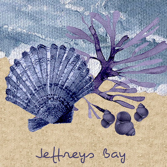 Jeffreys Bay Coaster 7