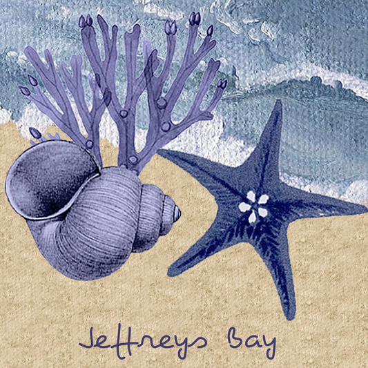 Jeffreys Bay Coaster 8