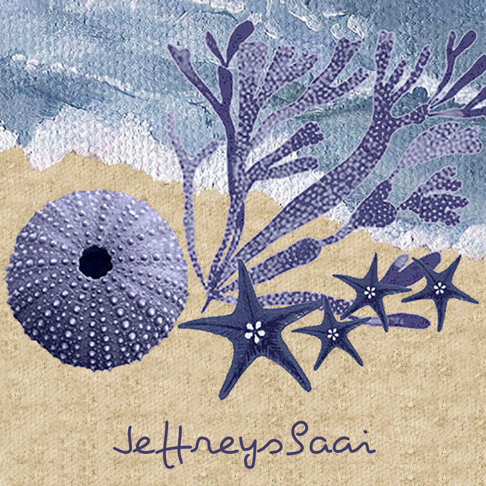 Jeffreysbaai Coaster 9