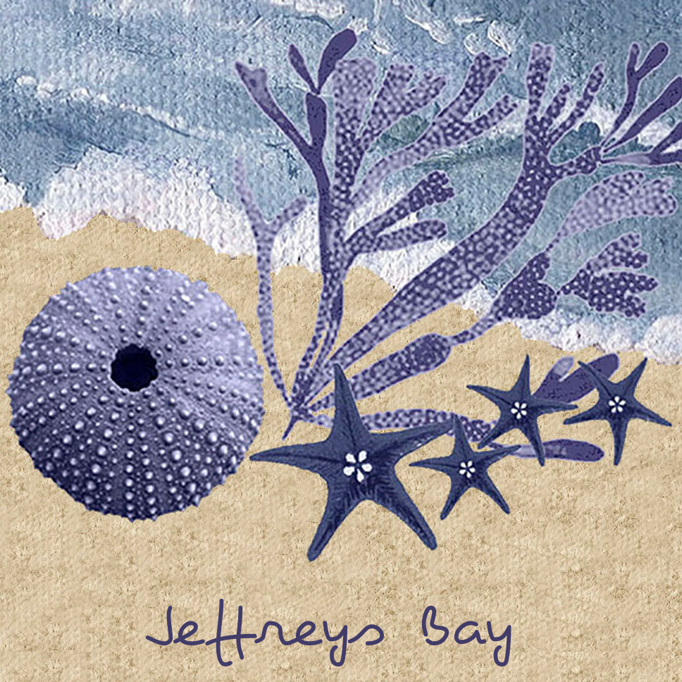Jeffreys Bay Coaster 9