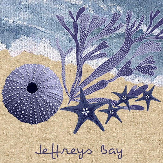 Jeffreys Bay Coaster 9