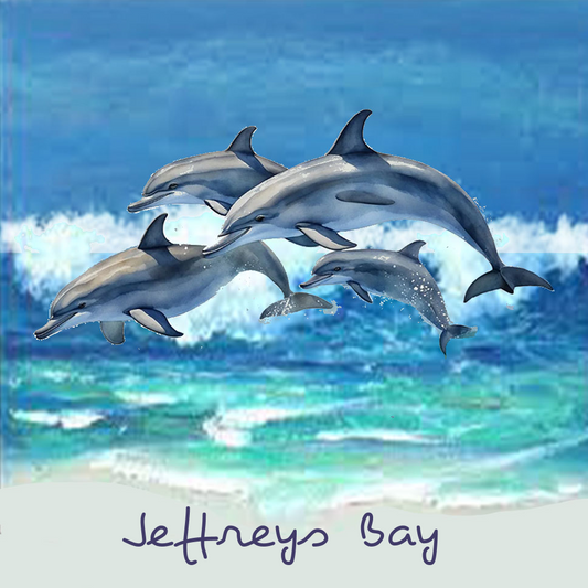 Jeffreys Bay Coaster 10