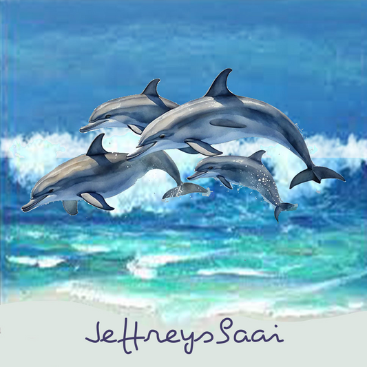 Jeffreysbaai Coaster 10