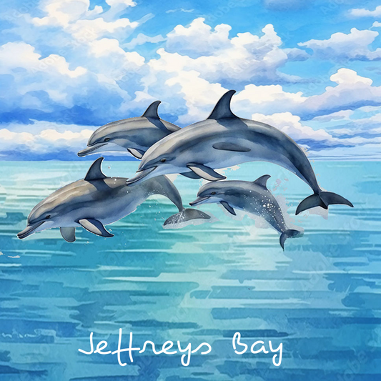 Jeffreys Bay Coaster 13