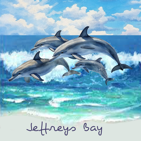 Jeffreys Bay Coaster 14