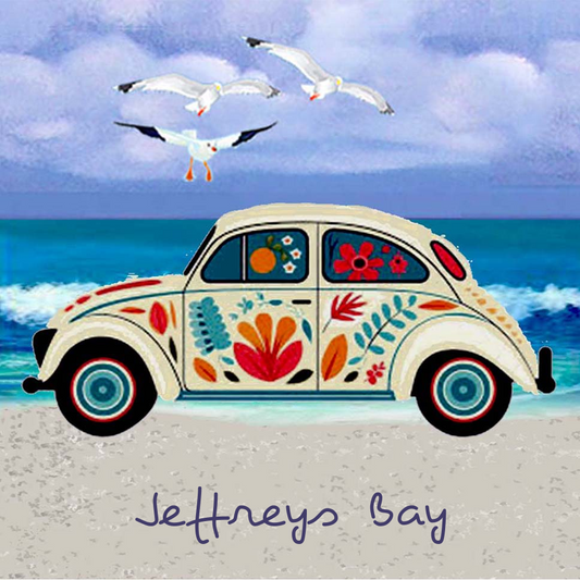 Jeffreys Bay Coaster 19