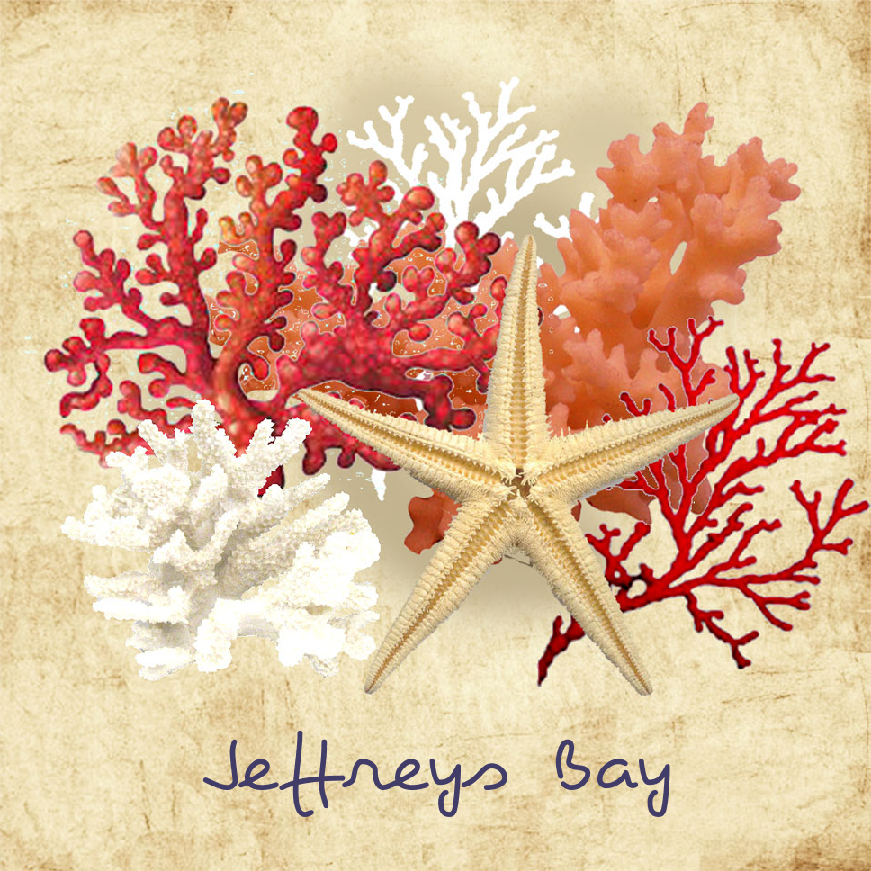 Jeffreys Bay Coaster 24