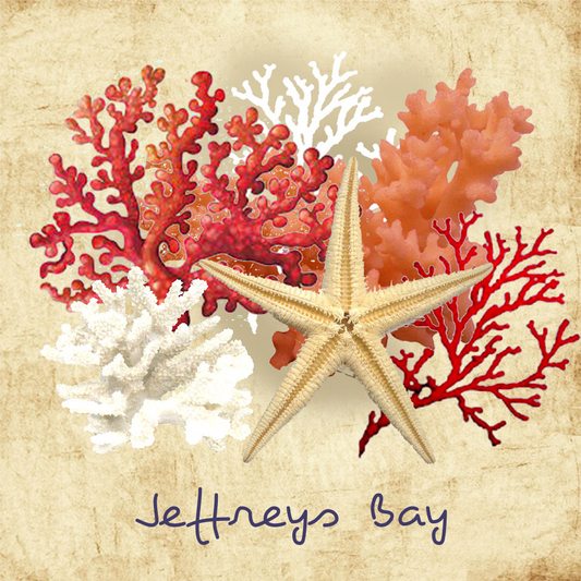 Jeffreys Bay Coaster 24
