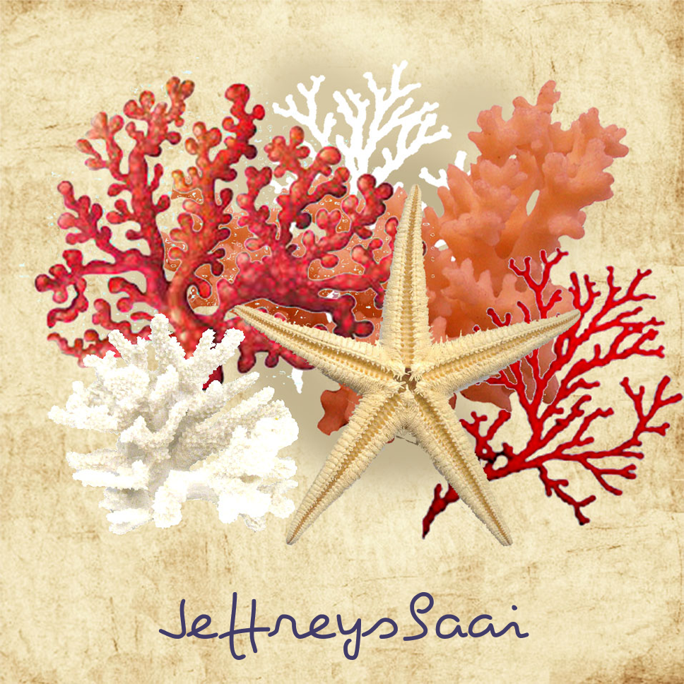 Jeffreysbaai Coaster 24