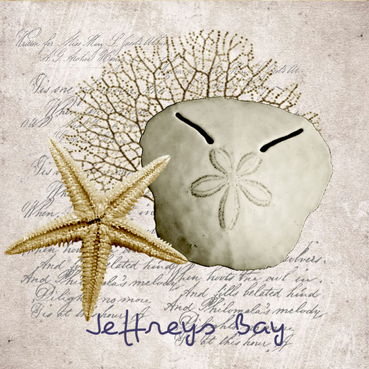 Jeffreys Bay Coaster 25