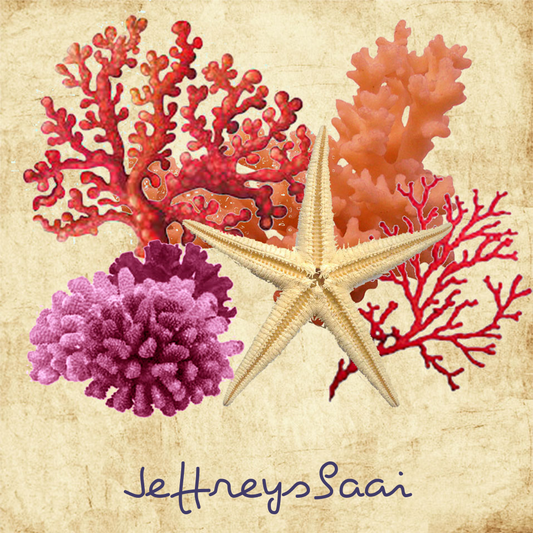 Jeffreysbaai Coaster 26