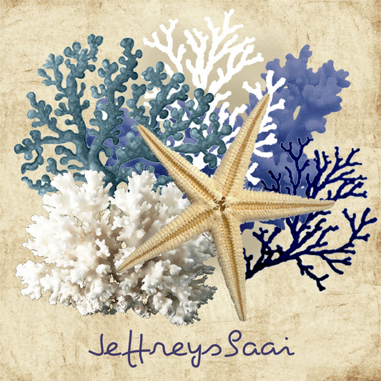 Jeffreysbaai Coaster 27