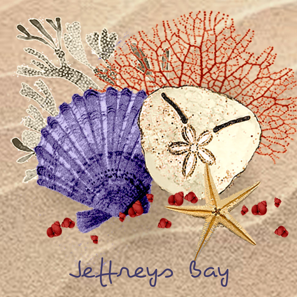 Jeffreys Bay Coaster 28