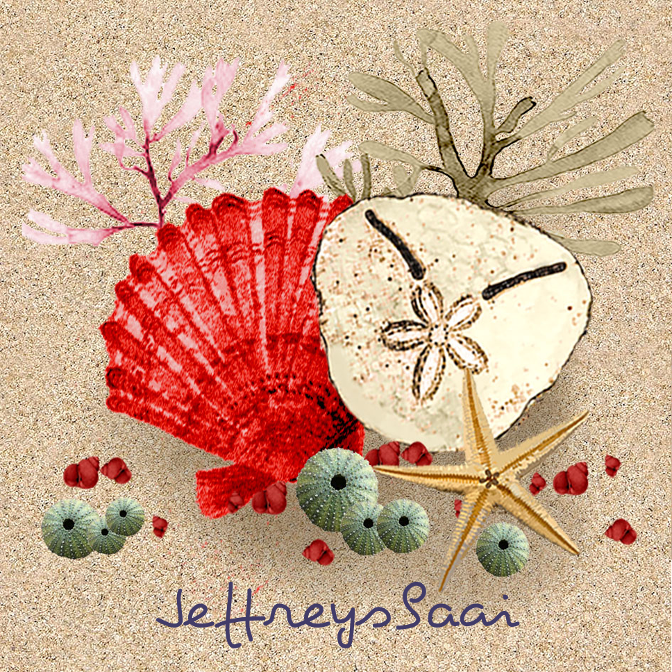 Jeffreysbaai Coaster 29