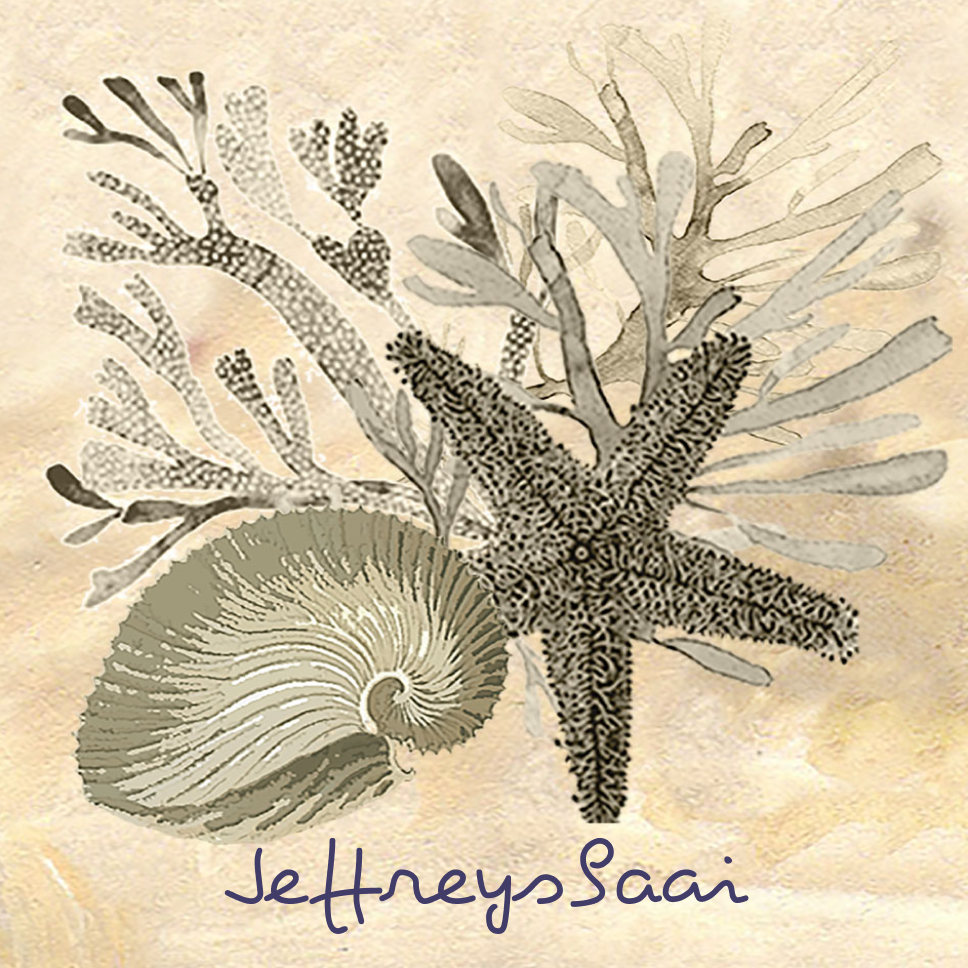 Jeffreysbaai Coaster 32