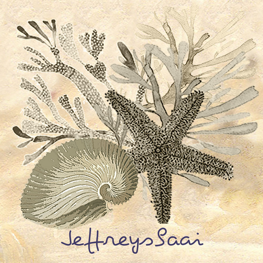 Jeffreysbaai Coaster 32