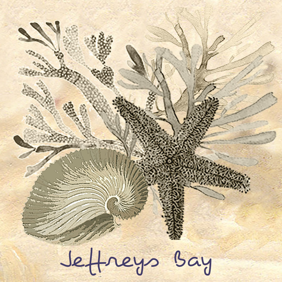 Jeffreys Bay Coaster 32