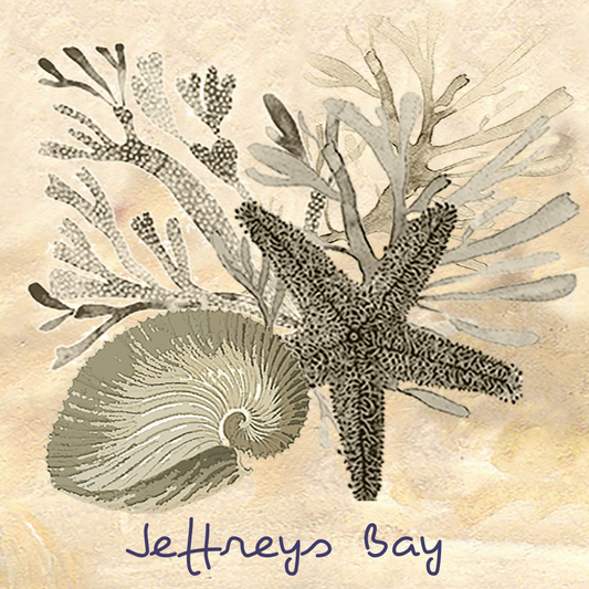 Jeffreys Bay Coaster 32