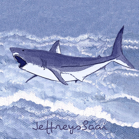 Jeffreysbaai Coaster 23