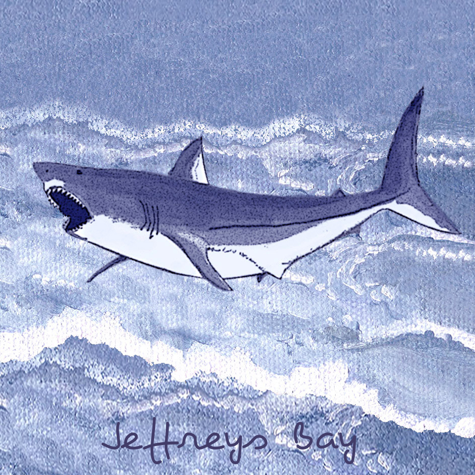 Jeffreys Bay Coaster 23