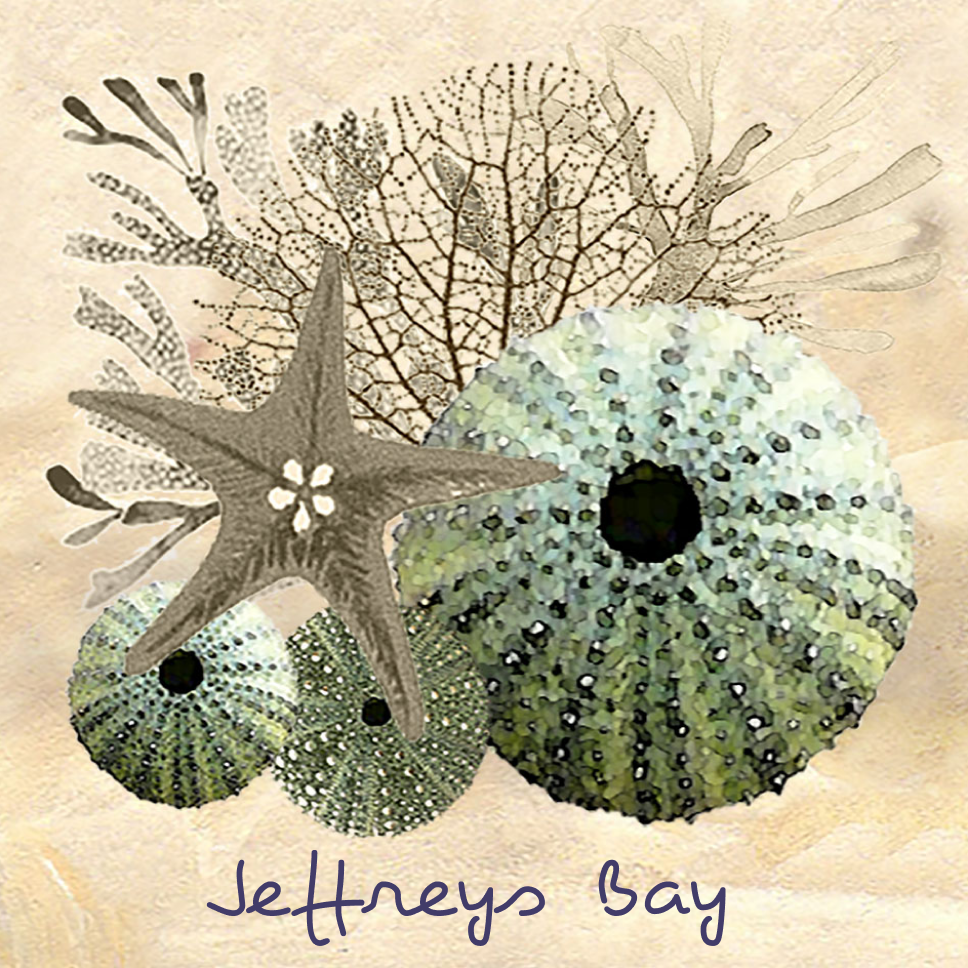 Jeffreys Bay Coaster 35