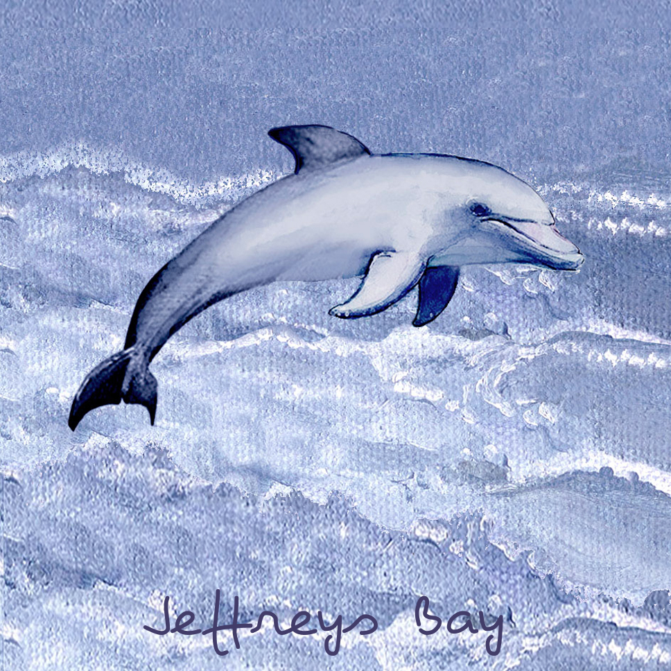 Jeffreys Bay Coaster 36