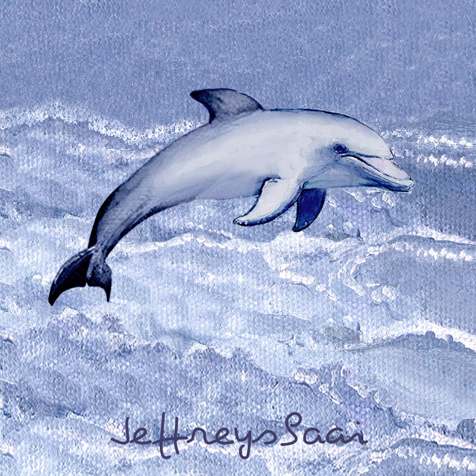 Jeffreysbaai Coaster 36