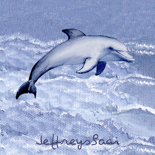 Jeffreysbaai Coaster 36