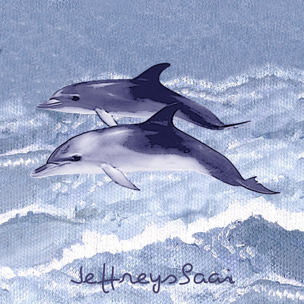 Jeffreysbaai Coaster 38