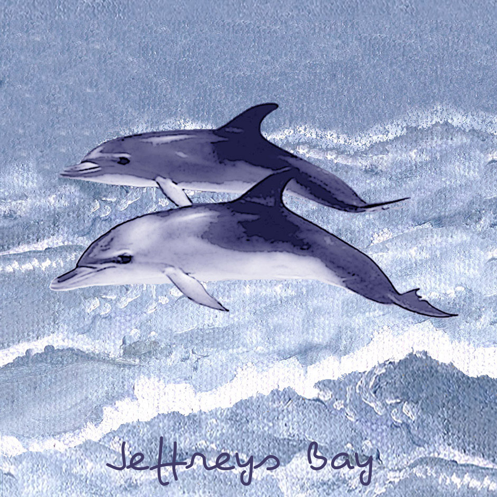 Jeffreys Bay Coaster 38