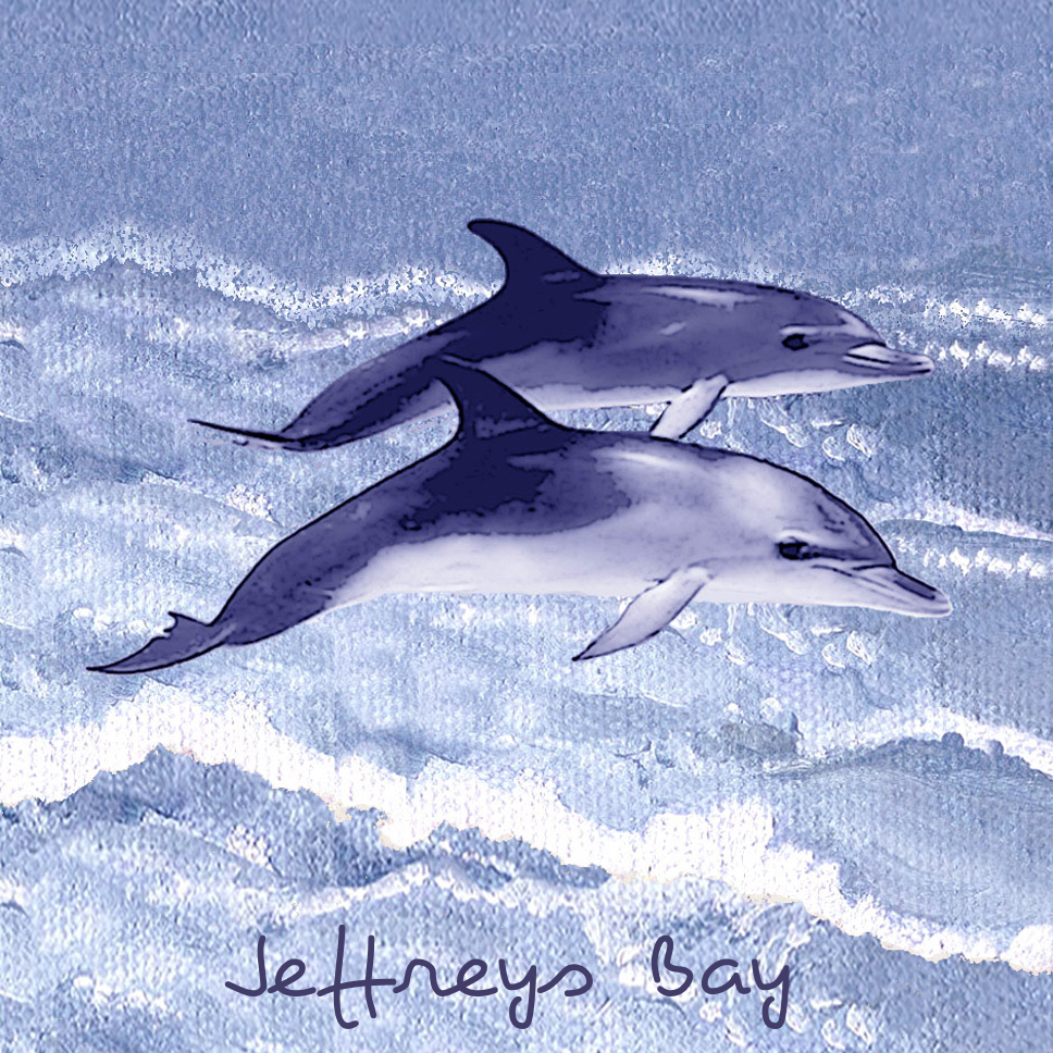 Jeffreys Bay Coaster 39