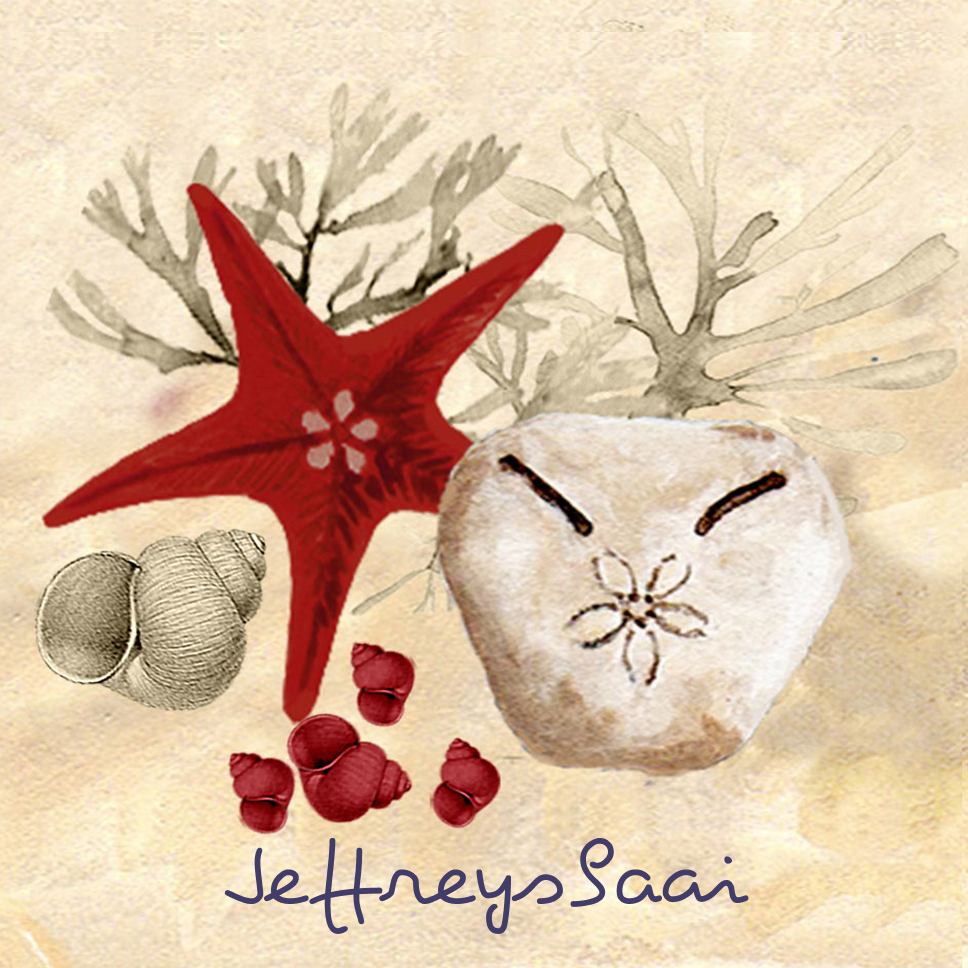 Jeffreysbaai Coaster 41