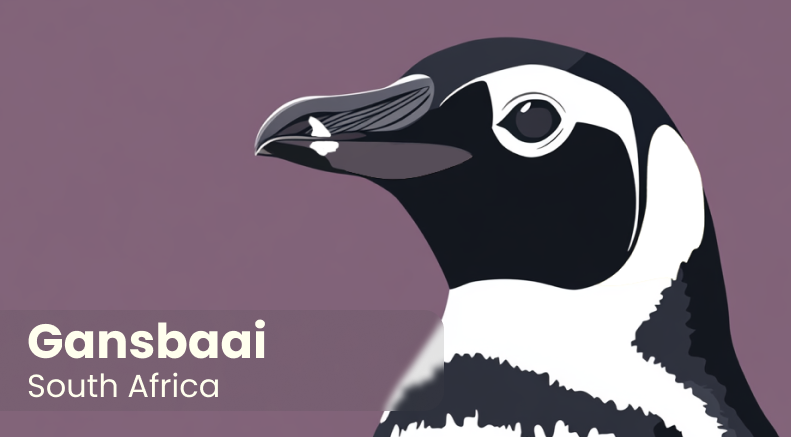 African Penguin Seabird Sanctuary Keyring 2