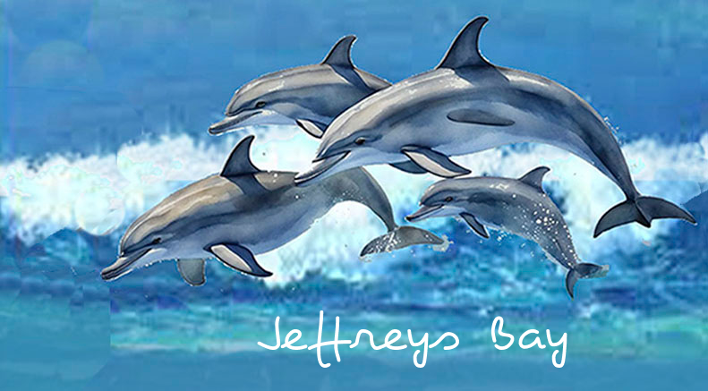 Jeffreys Bay Keyring 26