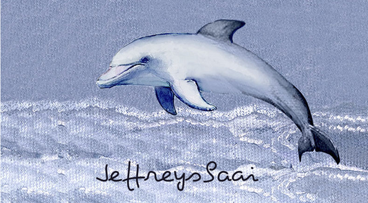 Jeffreysbaai Keyring 28