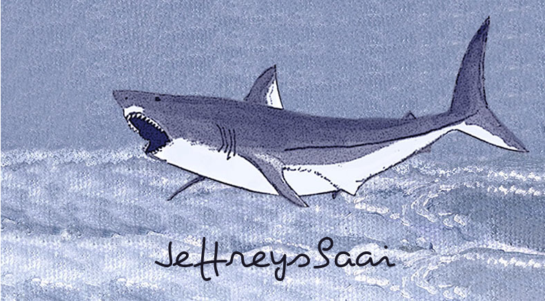 Jeffreysbaai Keyring 31