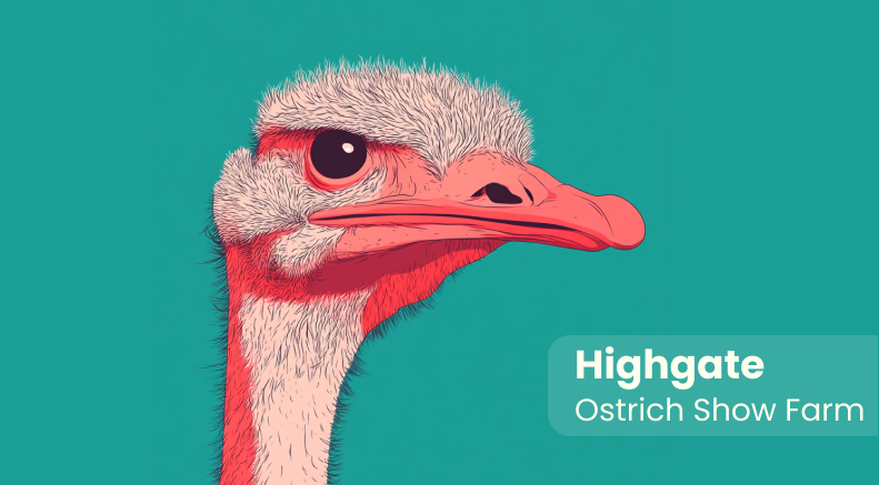Highgate Ostrich Show Farm Keyring 4