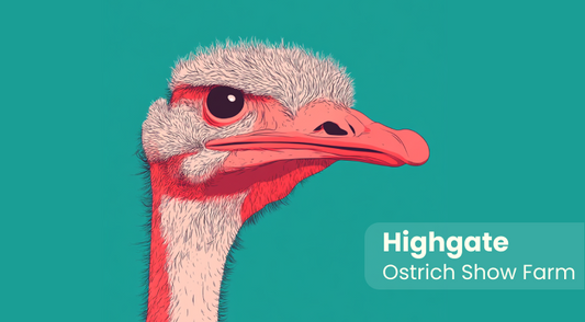 Highgate Ostrich Show Farm Keyring 4