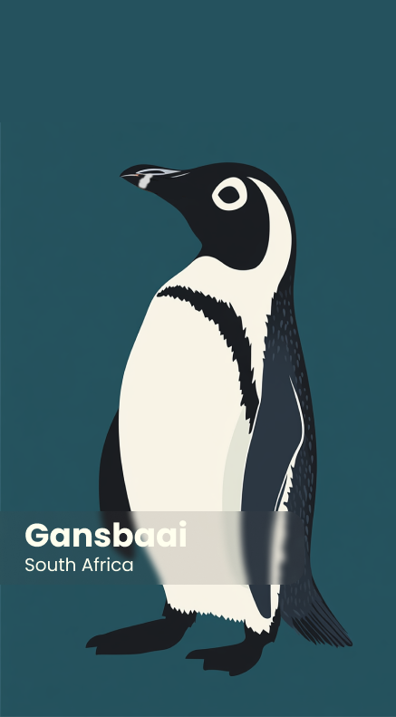 African Penguin Seabird Sanctuary Keyring 4