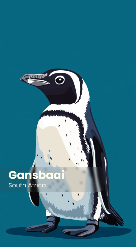 African Penguin Seabird Sanctuary Keyring 5