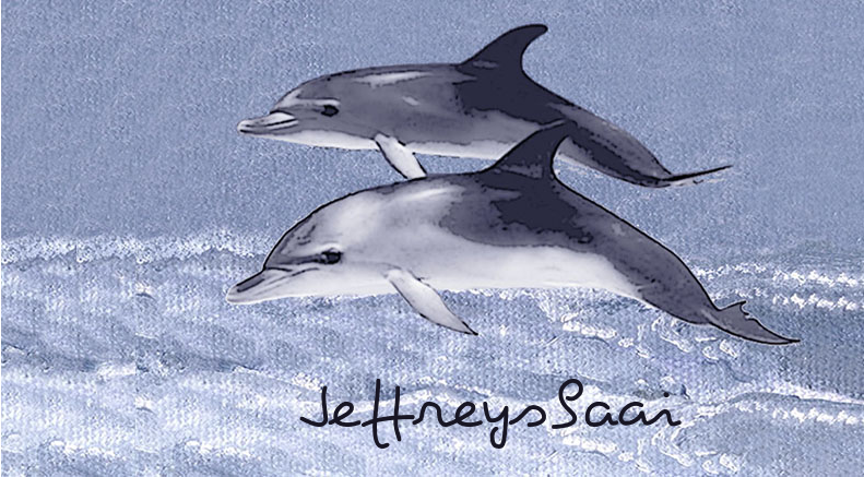 Jeffreysbaai Keyring 36