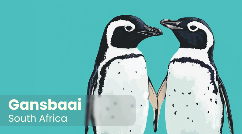 African Penguin Seabird Sanctuary Keyring 7