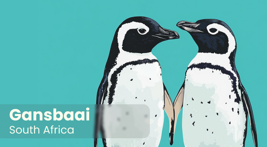 African Penguin Seabird Sanctuary Keyring 7